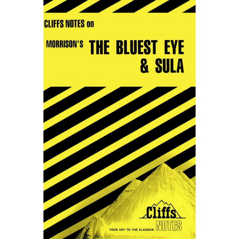 کتاب The Bluest Eye and Sula اثر Louisa S Nye and Rosetta James انتشارات تازه‌ها