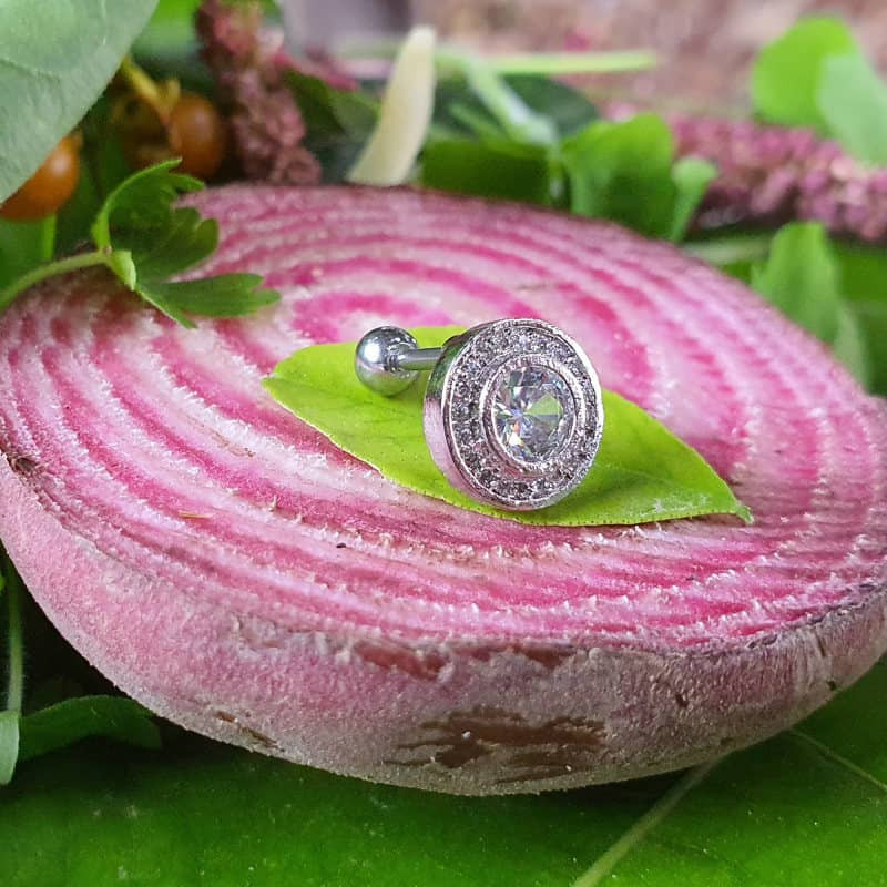 پیرسینگ گوش زنانه پایتخت مدل PS284 پیرسینگ گوش زنانه پایتخت مدل PS284