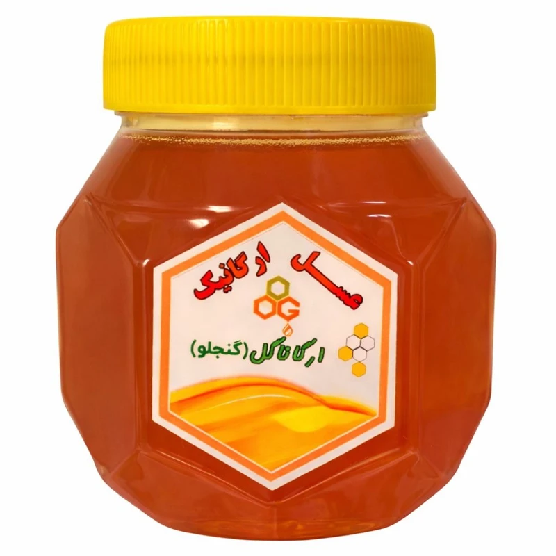 عسل چهل گیاه کوهستان گرین گنجلو - 500 گرم