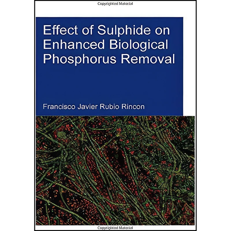 کتاب Effect of Sulphide on Enhanced Biological Phosphorus Removal  اثر Francisco Rubio Rincon انتشارات CRC Press