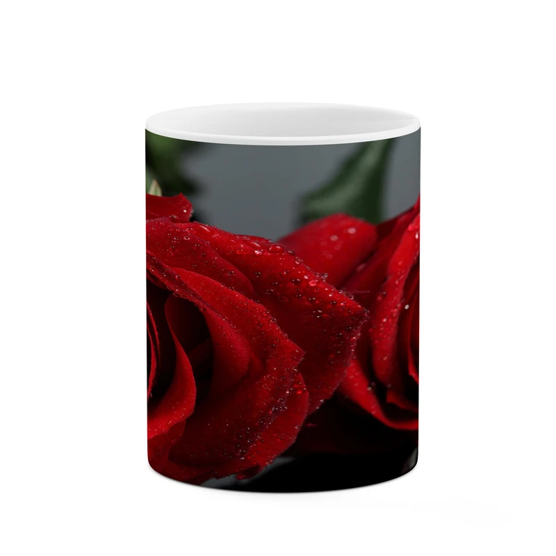 ماگ کاکتی مدل گل رز کد mgh18054