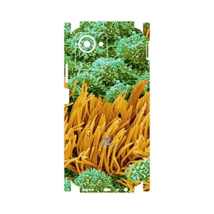 MAHOOT Atom Universe 6-FullSkin Cover Sticker for Realme C30s