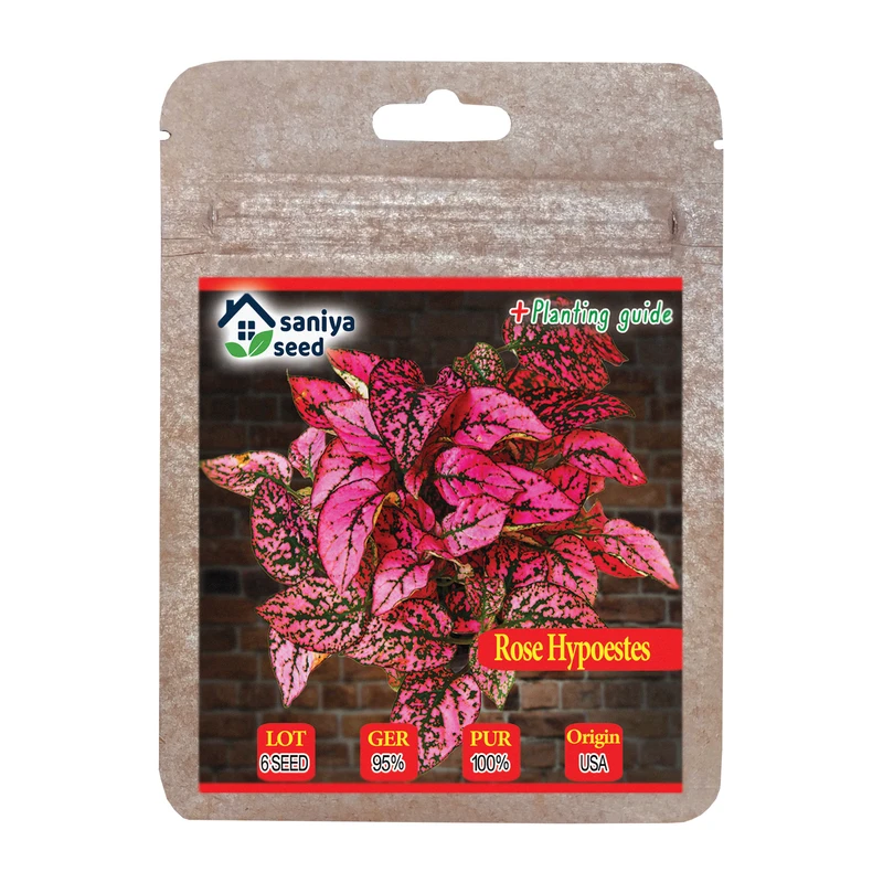 بذر گل سنگ رز سانیا سید مدل  SS64