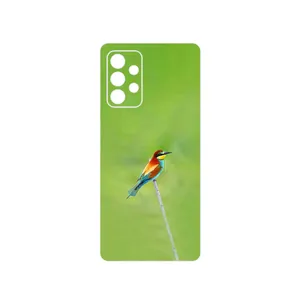 MAHOOT European bee-eater Cover Sticker for Samsung Galaxy A52s 5G