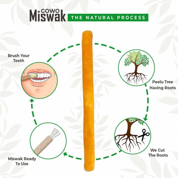 چوب مسواک گوو مدل Himalayan مجموعه 4 عددی چوب مسواک گوو مدل Himalayan مجموعه 4 عددی
