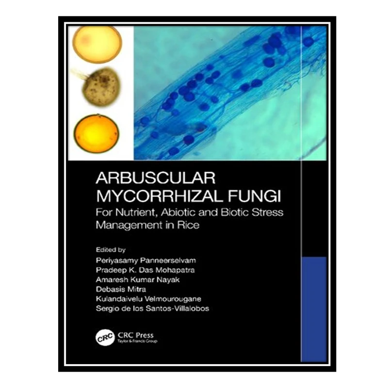 کتاب Arbuscular Mycorrhizal Fungi: For Nutrient, Abiotic and Biotic Stress Management in Rice اثر جمعی از نویسندگان انتشارات مؤلفین طلایی