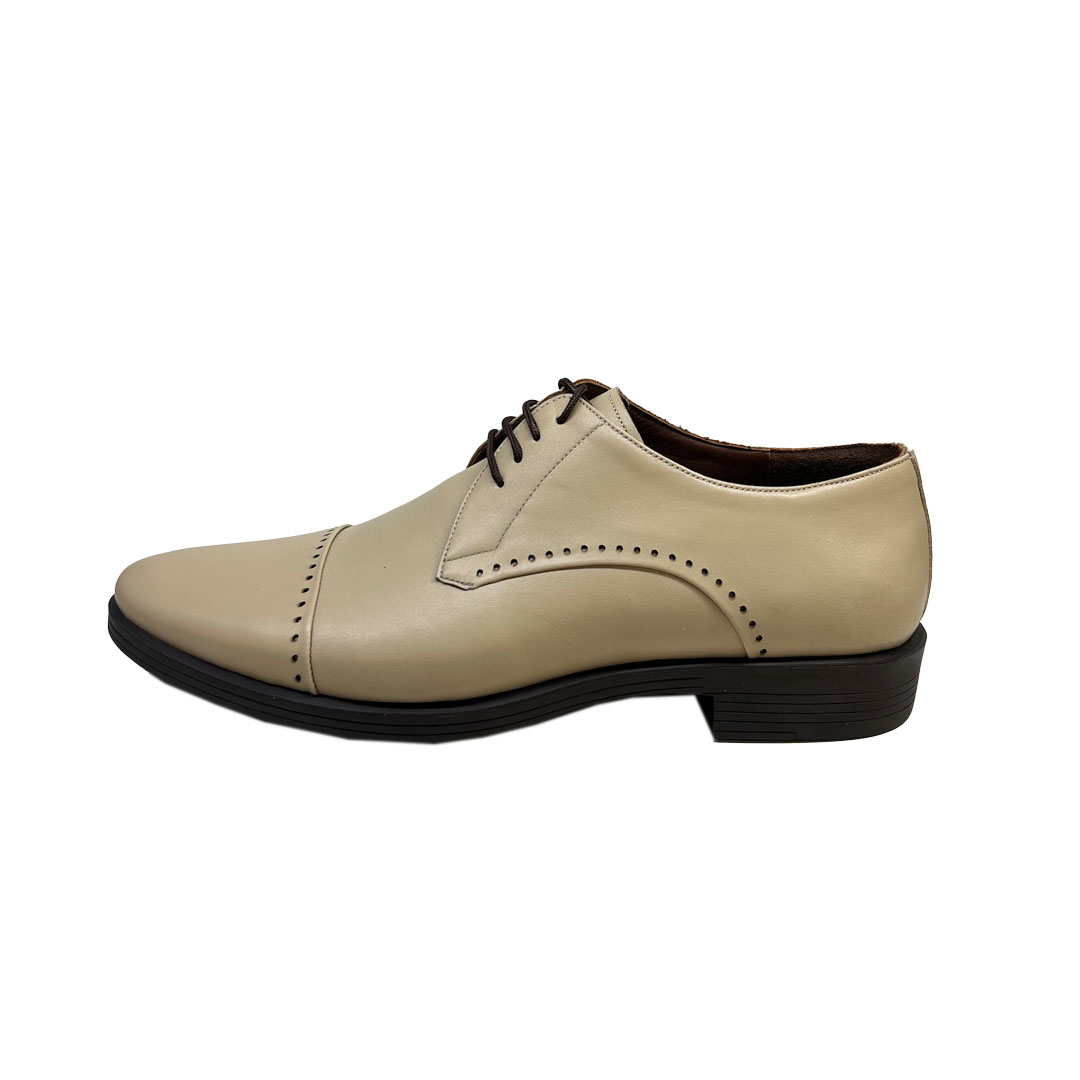 کفش مردانه سرزمین چرم کد 17846