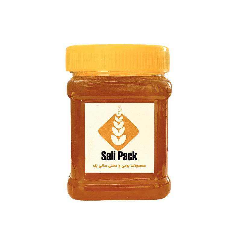 عسل 100 درصد طبیعی سالی پک - 500 گرم
