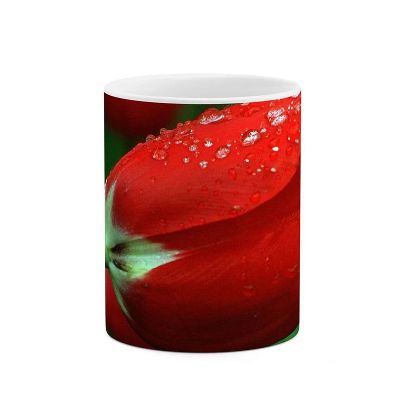 ماگ کاکتی مدل گل رز کد mgh11983