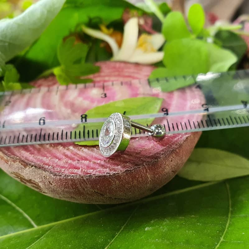 پیرسینگ گوش زنانه پایتخت مدل PS284 پیرسینگ گوش زنانه پایتخت مدل PS284