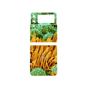MAHOOT Atom Universe 6 Cover Sticker for Samsung Galaxy Z Flip3 5G