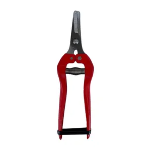 قیچی میوه چینی مدل M1704