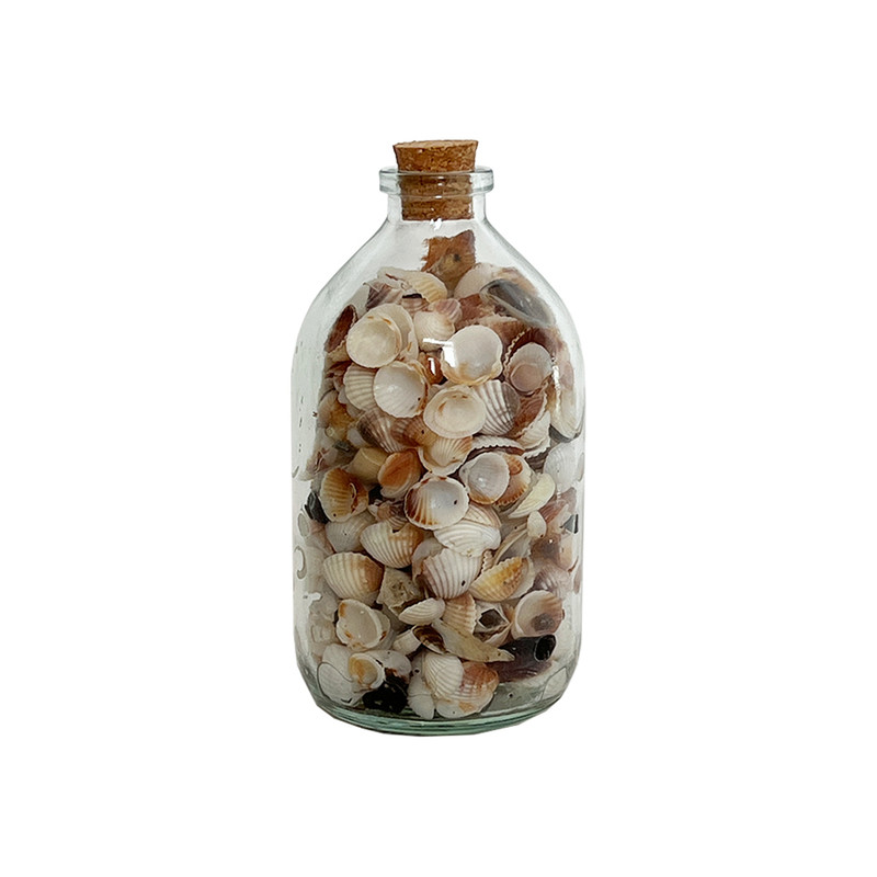 بطری دکوری مدل صدف dream