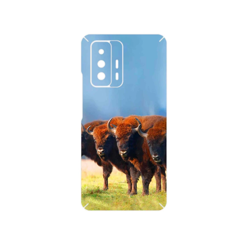 برچسب پوششی ماهوت مدل Buffalo مناسب برای گوشی موبایل شیائومی 11T 5G