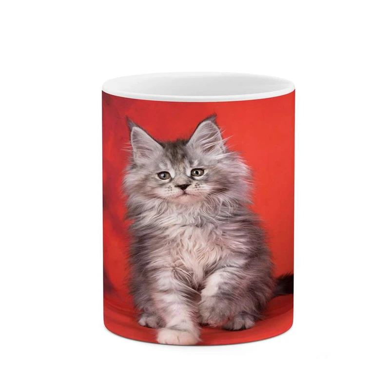 ماگ کاکتی مدل گربه کد mgh16470