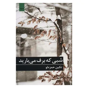 کتاب شبی که برف می بارید اثر تکین حمزه لو انتشارات برکه خورشید 