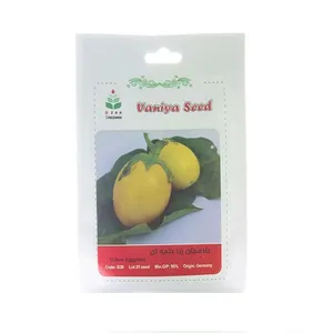 بذر بادمجان زرد دلمه ای وانیا سید کد B30