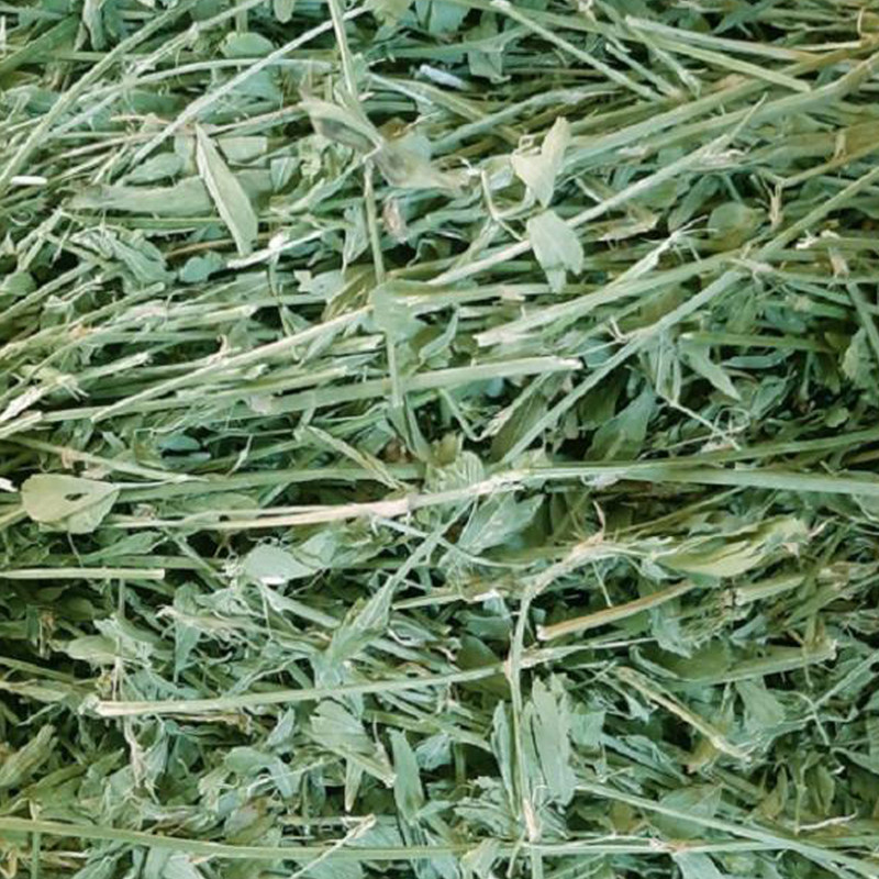 یونجه خشک خرگوش و خوکچه مدل alfalfa وزن 1 کیلوگرم