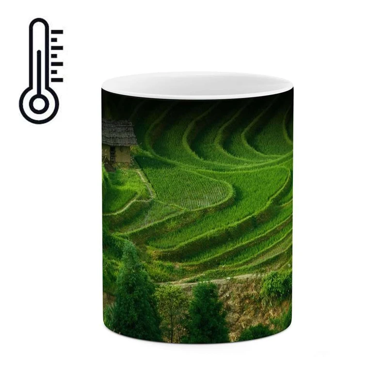 ماگ حرارتی کاکتی مدل طبیعت کد mgh12287