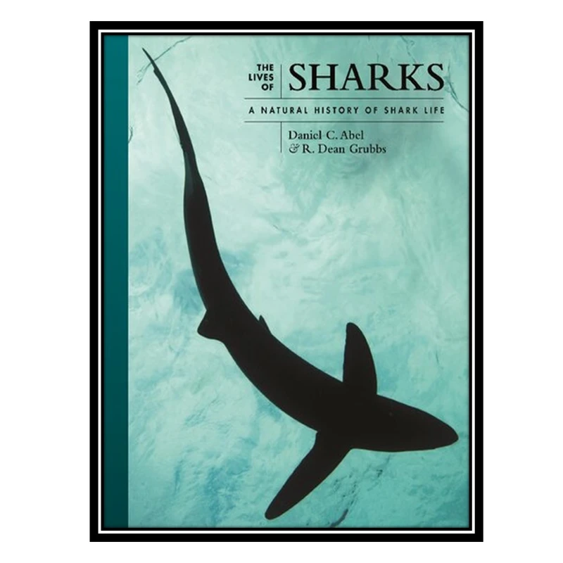 کتاب The Lives of Sharks: A Natural History of Shark Life اثر Daniel C Abel AND R Dean Grubbs انتشارات مؤلفین طلایی
