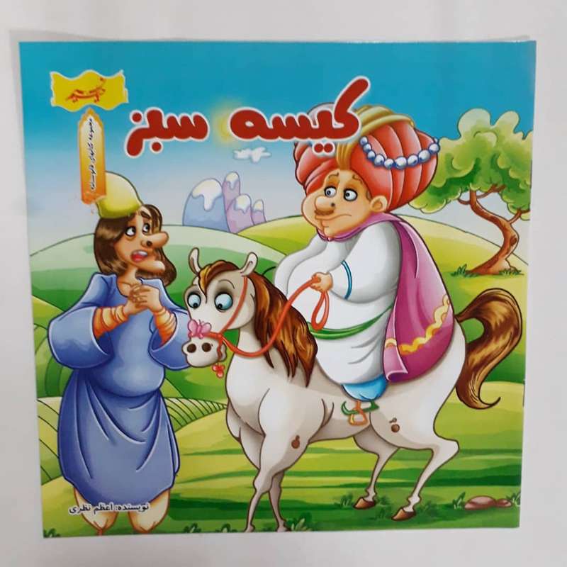 کتاب کیسه سبز کتابهای قابوسنامه اثر اعظم نظری انتشارات نسیم حیات
