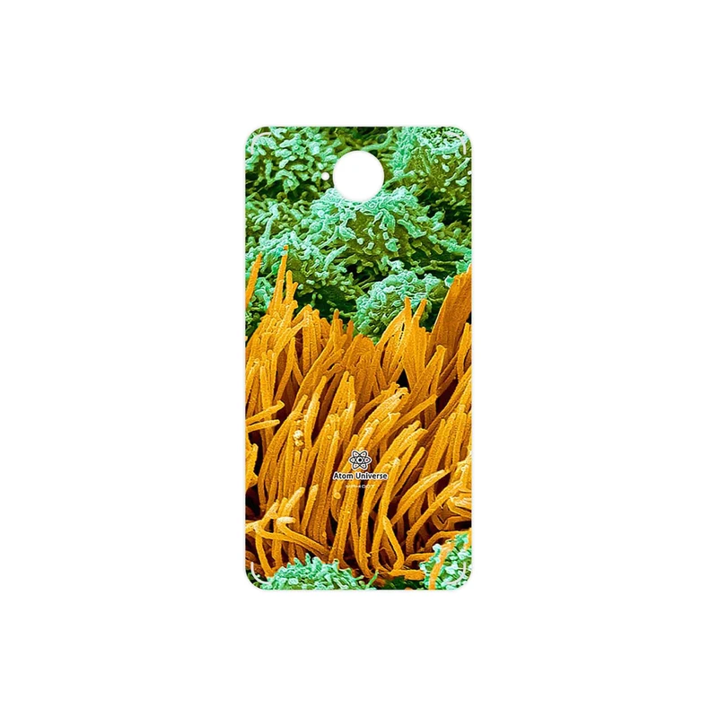 برچسب پوششی ماهوت مدل Atom Universe 6 مناسب برای گوشی موبایل مایکروسافت Lumia 650