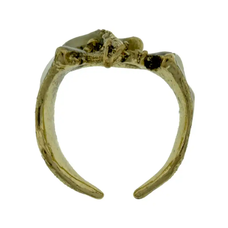 انگشتر مردانه برانت مدل شب تاب مارمولک پرنده