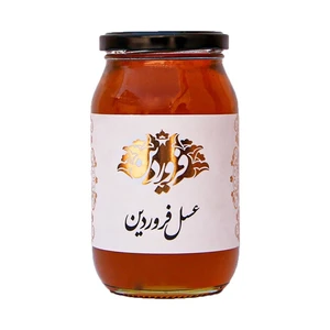 عسل کنار فروردین -650 گرم