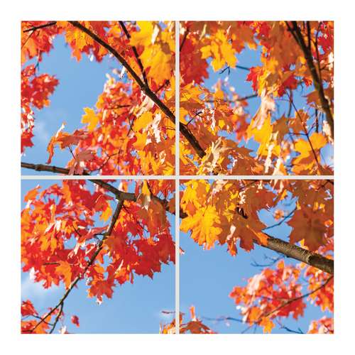 تایل سقفی آسمان مجازی مدل SK-422 سایز 60x60 سانتیمتر مجموعه 4 عددی