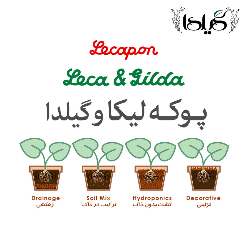 پوکه لیکا متوسط گیلدا مدل Lecapon حجم 2 لیتر