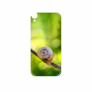 MAHOOT Snail Cover Sticker for HTC Desire 820