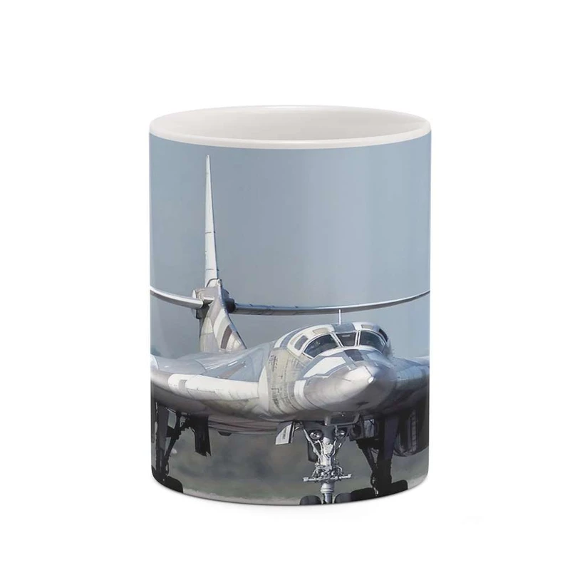 ماگ کاکتی مدل هواپیمای جنگنده کد mgh20358