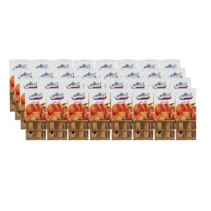 نکتار هلو گلشن - 200 میلی لیتر بسته 32 عددی