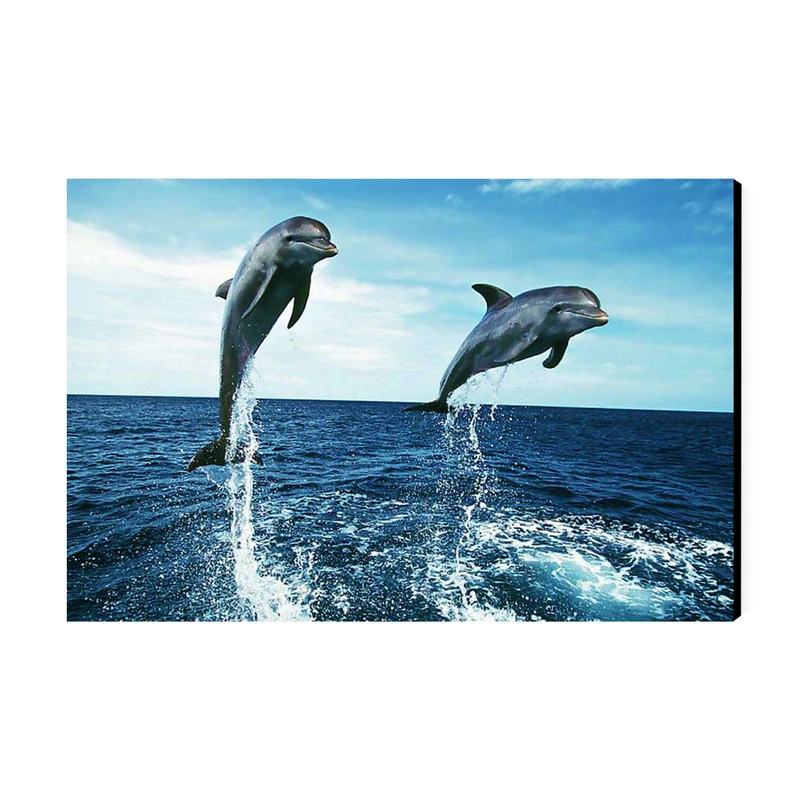 تابلو شاسی عرش مدل فانتزی دلفین کد As3063