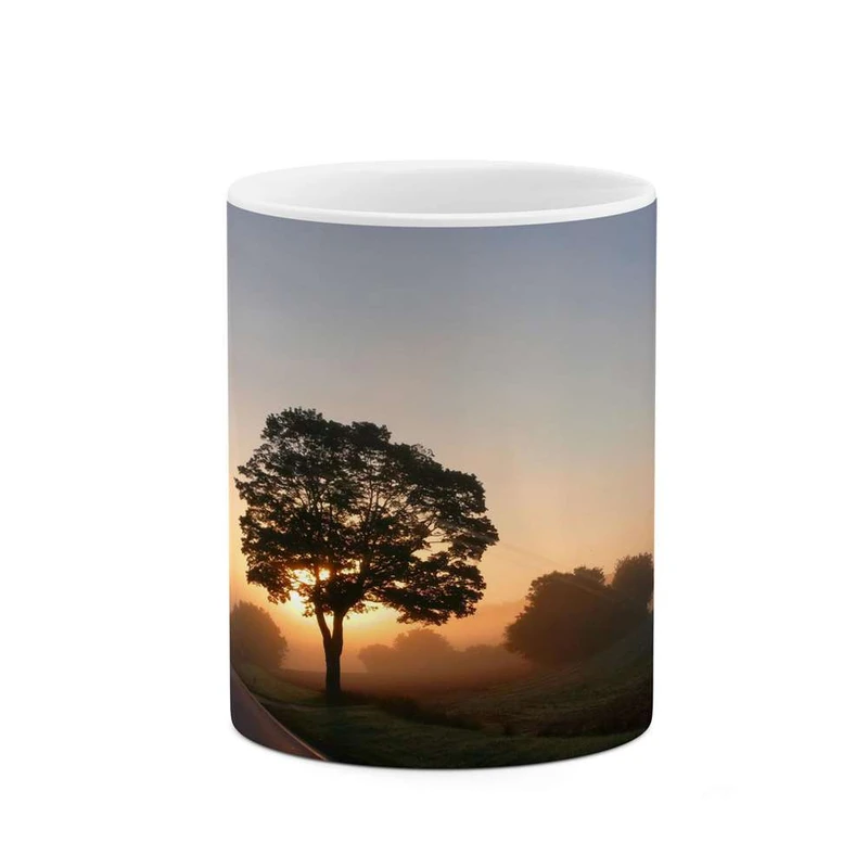 ماگ کاکتی مدل منظره کد mgh16310