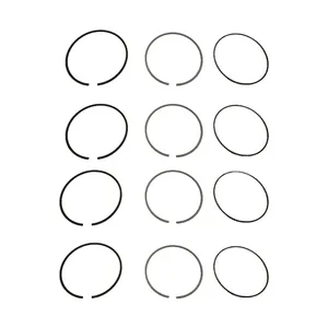 رینگ موتور تی پی کد 01002 مناسب برای تیبا بسته 12 عددی