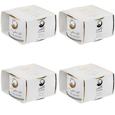 راهنمای خرید اینترنتی تن ماهی شیلانه ارزان قیمت (180 گرمی، در روغن زیتون)