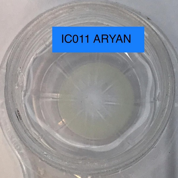 لنز چشم آرین مدل IC011 رنگ طوسی یخی