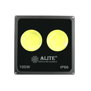 پرژکتور 100 وات الیت مدل 001