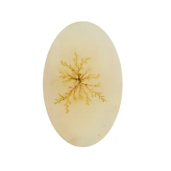 سنگ شجر پارلا گوهر کد 5150