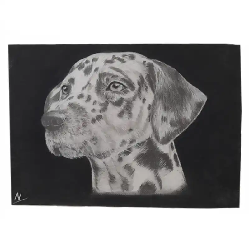 نقاشی سیاه قلم طرح سگ خالدار کد 01