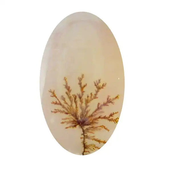 سنگ شجر پارلا گوهر کد 5102