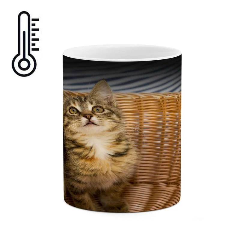 ماگ حرارتی کاکتی مدل گربه کد mgh17976