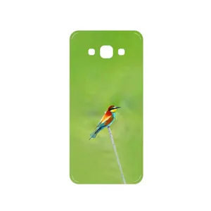 MAHOOT European bee-eater Cover Sticker for Samsung Galaxy A8