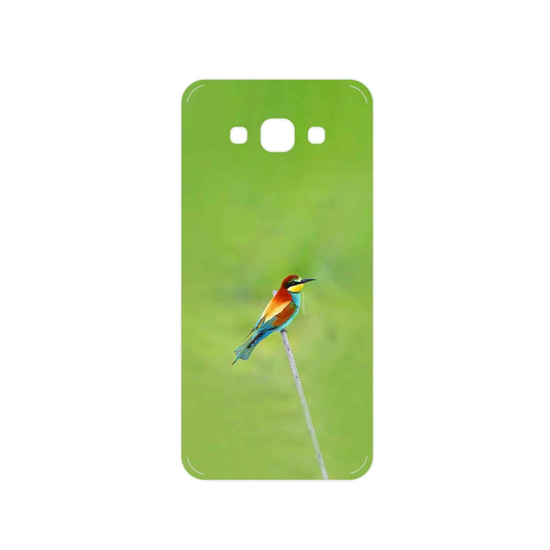 برچسب پوششی ماهوت مدل European bee-eater مناسب برای گوشی موبایل سامسونگ Galaxy A8