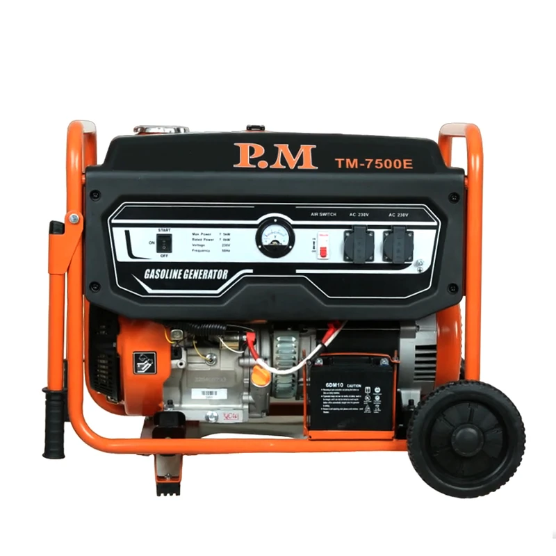 موتور برق پی ام مدل TM7500