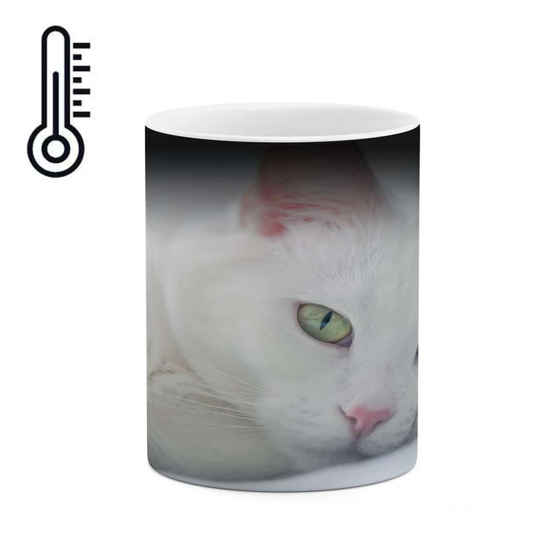 ماگ حرارتی کاکتی مدل گربه کد mgh15692