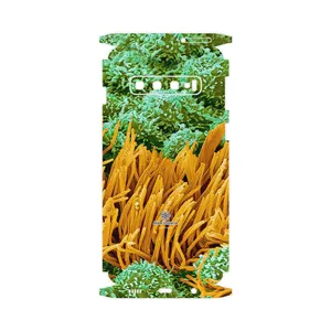 MAHOOT Atom Universe 6-FullSkin Cover Sticker for Samsung Galaxy S10