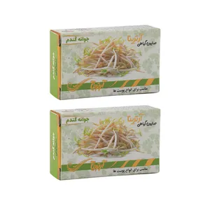 صابون شستشو آرترینا مدل جوانه گندم وزن 70 گرم مجموعه 2 عددی