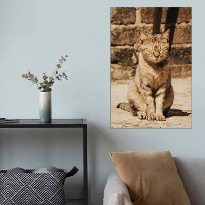 پوستر گوفی مدل گربه خابالو کیوت و بامزه طرح Sleepy Cat کد CUTE23